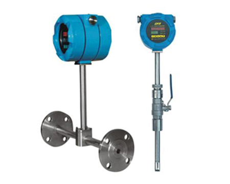 WXZJ-LRS20A series thermal gas mass flowmeter