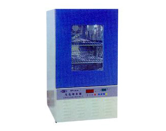 Shanghai Botai biochemical incubator SPX-80