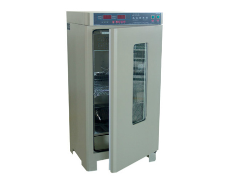 Shanghai Boxun mould incubator MJX-100B-Z
